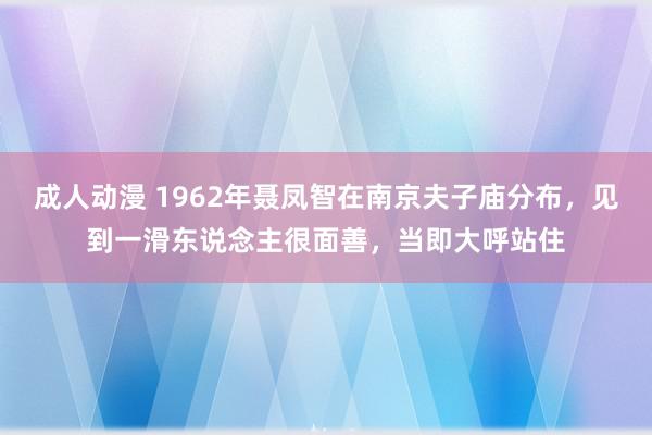 成人动漫 1962年聂凤智在南京夫子庙分布，见到一滑东说念主很面善，当即大呼站住