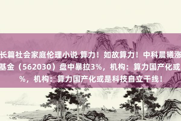 长篇社会家庭伦理小说 算力！如故算力！中科晨曦涨超5%，信创ETF基金（562030）盘中暴拉3%，机构：算力国产化或是科技自立干线！