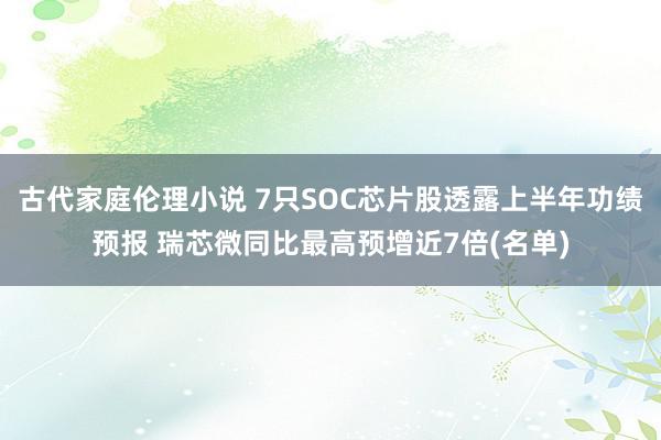 古代家庭伦理小说 7只SOC芯片股透露上半年功绩预报 瑞芯微同比最高预增近7倍(名单)