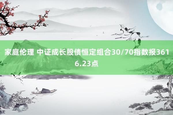 家庭伦理 中证成长股债恒定组合30/70指数报3616.23点