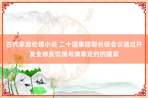 古代家庭伦理小说 二十国集团部长级会议通过开发全球反饥饿与清寒定约的提案