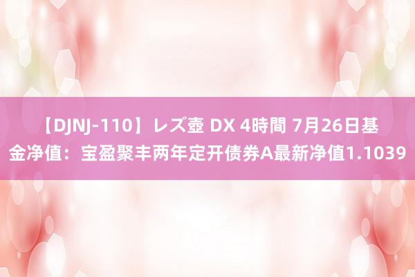 【DJNJ-110】レズ壺 DX 4時間 7月26日基金净值：宝盈聚丰两年定开债券A最新净值1.1039