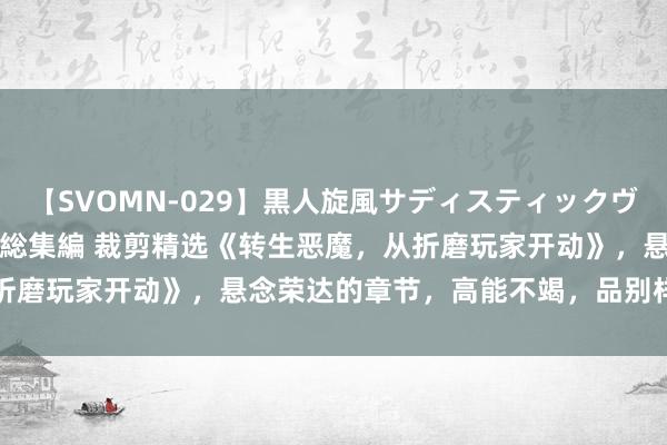 【SVOMN-029】黒人旋風サディスティックヴィレッジBLACK FUCK総集編 裁剪精选《转生恶魔，从折磨玩家开动》，悬念荣达的章节，高能不竭，品别样东说念主生