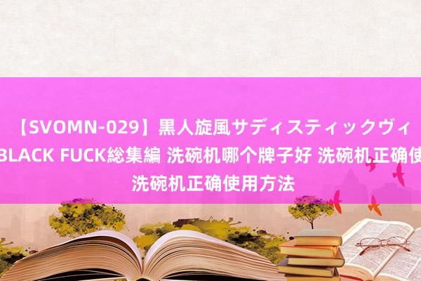 【SVOMN-029】黒人旋風サディスティックヴィレッジBLACK FUCK総集編 洗碗机哪个牌子好 洗碗机正确使用方法