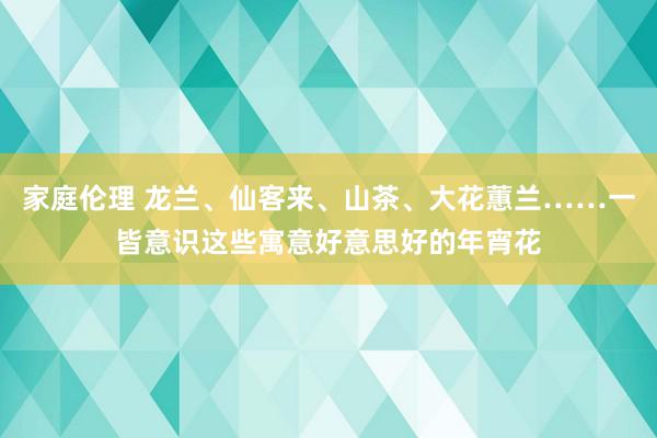 家庭伦理 龙兰、仙客来、山茶、大花蕙兰……一皆意识这些寓意好意思好的年宵花