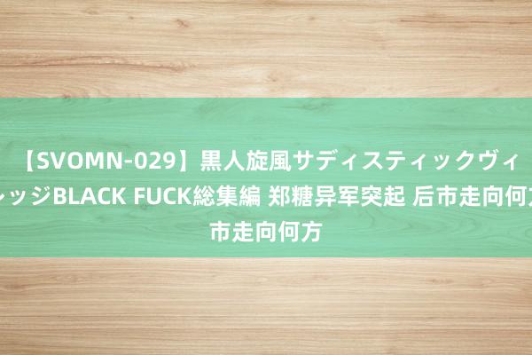 【SVOMN-029】黒人旋風サディスティックヴィレッジBLACK FUCK総集編 郑糖异军突起 后市走向何方