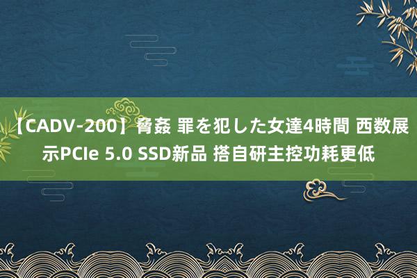 【CADV-200】脅姦 罪を犯した女達4時間 西数展示PCIe 5.0 SSD新品 搭自研主控功耗更低