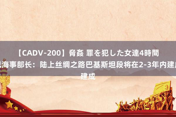 【CADV-200】脅姦 罪を犯した女達4時間 巴海事部长：陆上丝绸之路巴基斯坦段将在2-3年内建成