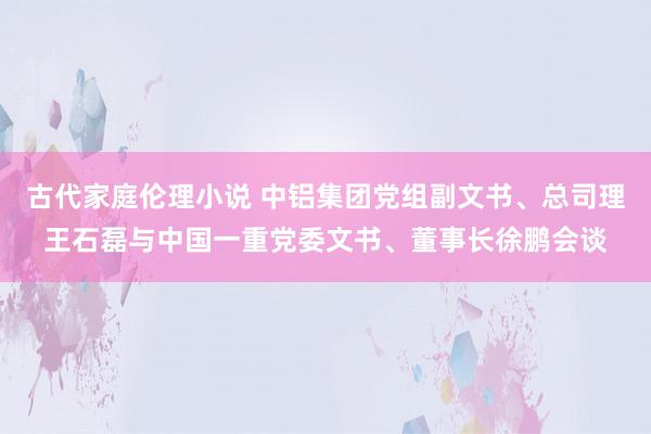 古代家庭伦理小说 中铝集团党组副文书、总司理王石磊与中国一重党委文书、董事长徐鹏会谈