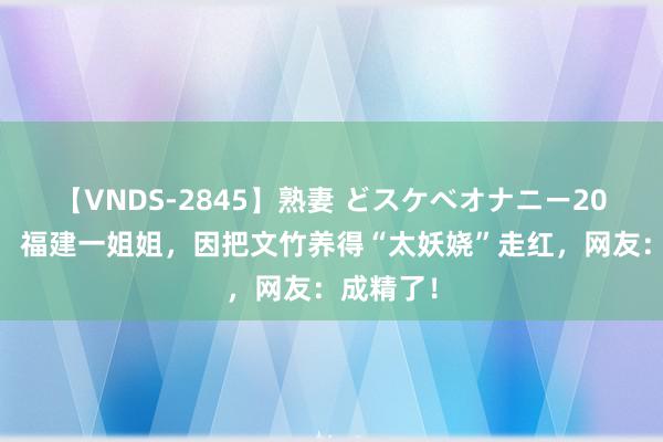 【VNDS-2845】熟妻 どスケベオナニー20連発！！ 福建一姐姐，因把文竹养得“太妖娆”走红，网友：成精了！