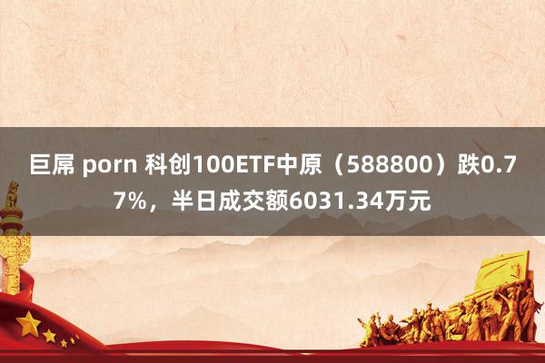 巨屌 porn 科创100ETF中原（588800）跌0.77%，半日成交额6031.34万元