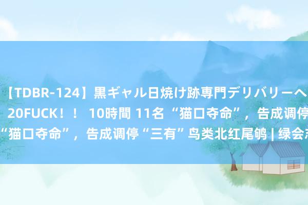 【TDBR-124】黒ギャル日焼け跡専門デリバリーヘルス チョーベスト！！ 20FUCK！！ 10時間 11名 “猫口夺命”，告成调停“三有”鸟类北红尾鸲 | 绿会志愿者