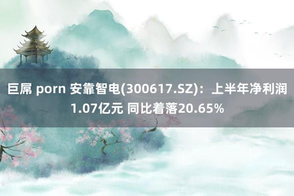 巨屌 porn 安靠智电(300617.SZ)：上半年净利润1.07亿元 同比着落20.65%