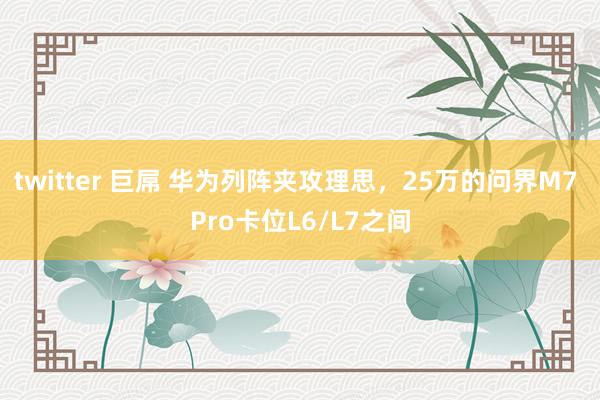 twitter 巨屌 华为列阵夹攻理思，25万的问界M7 Pro卡位L6/L7之间